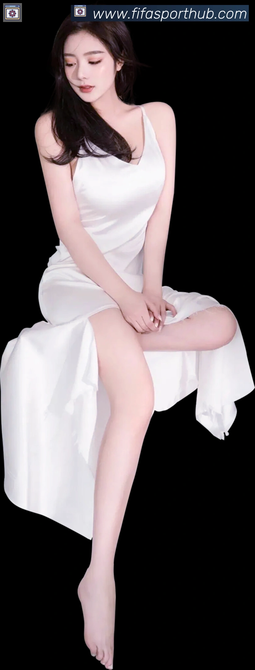 奖项证书